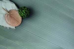 evo_banner2