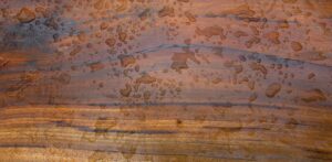 teak_img2